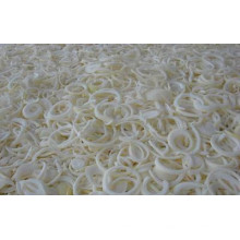 IQF frozen onion price ton